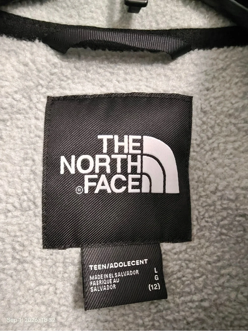 NWOT The North Face Big Boys' ( Teen / Adolescent) Denali Fleece Jacket Sz L(12)